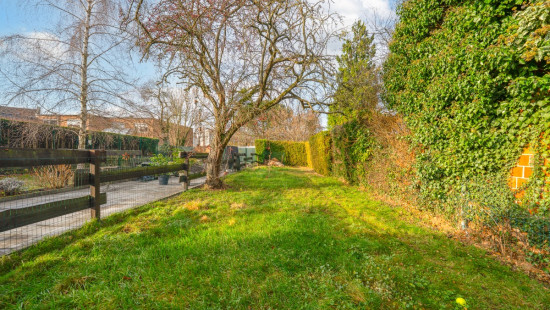 Rue de Rotheux - 48 - - 4100