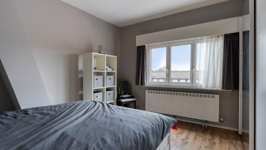 Eduard Anseelestraat - 74 - - 2830