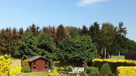 Lobbensestraat - 81 - - 3271