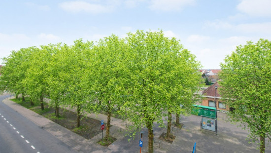 Bevrijdingsplein - 3 - 302 - 8930