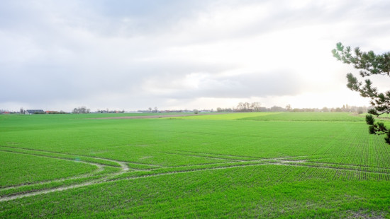 Hoogstadestraat - 2 - - 8690