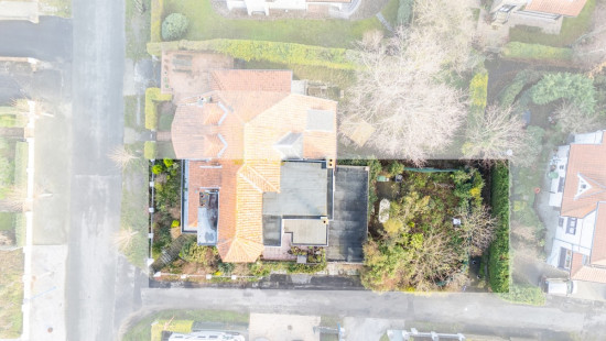 Pierre Sorellaan - 48 - - 8670