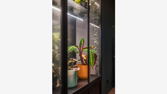 Heistraat - 63 - - 9100