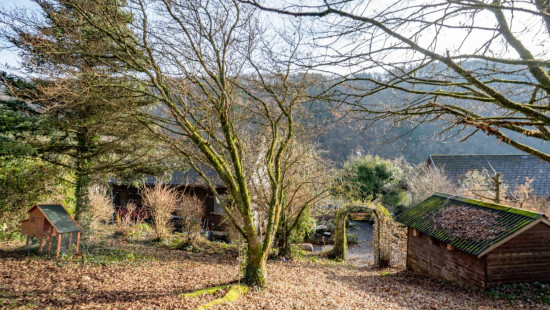 Rue de la Chérizelle - 33 - - 6830