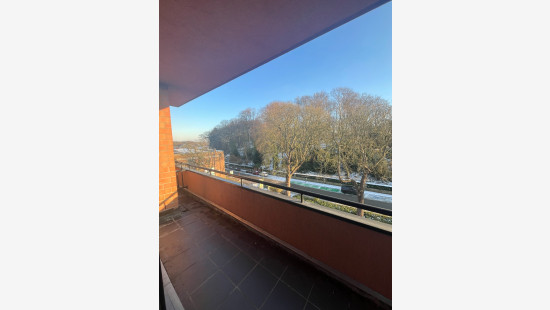 Veemarkt - 21 - 8 - 3290