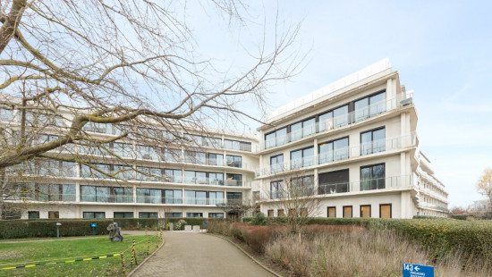 Vosseslag - 143 - 03.16 - 8420