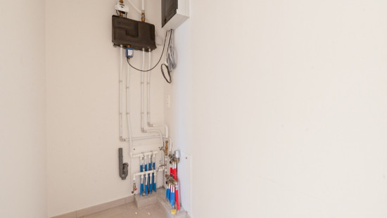 Vosseslag - 143 - 03.16 - 8420