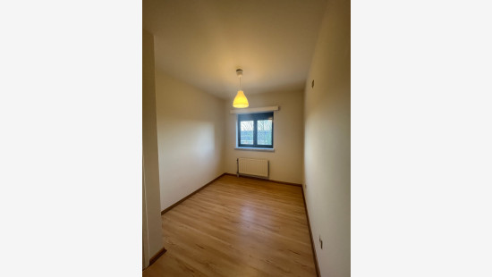 Veemarkt - 21 - 8 - 3290