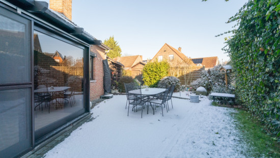 Bloemenveld - 1 - - 1930