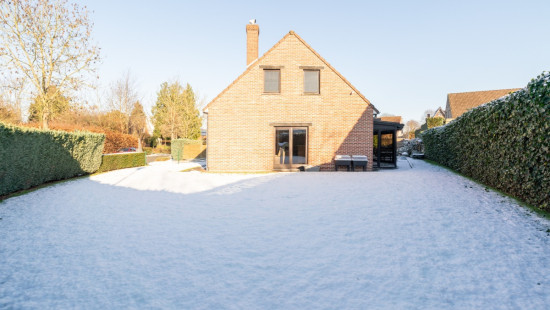 Bloemenveld - 1 - - 1930