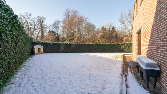 Bloemenveld - 1 - - 1930