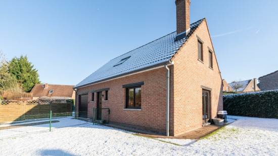 Bloemenveld - 1 - - 1930