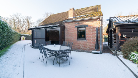 Bloemenveld - 1 - - 1930