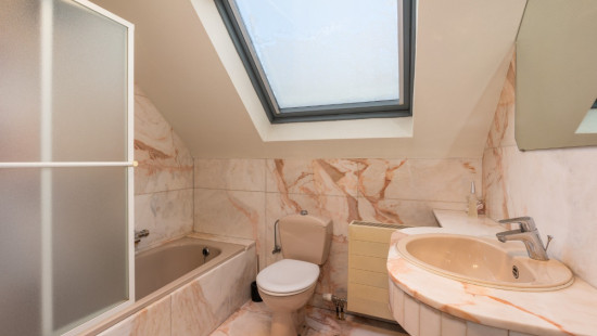 Bloemenveld - 1 - - 1930