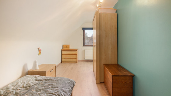 Bloemenveld - 1 - - 1930