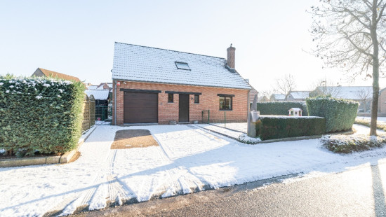 Bloemenveld - 1 - - 1930