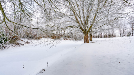 Isle-le-Pré - 4A - - 6600