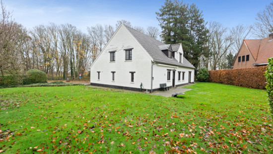 Zilvermeeuwlaan - 1 - - 1850