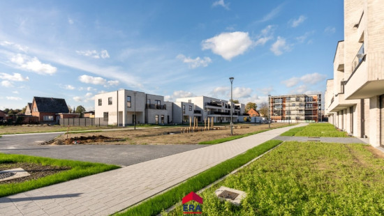 Hezerpad - ZN - - B2.25 - 3920