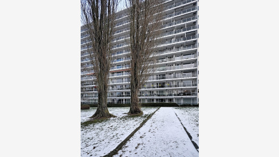 Italiëlaan - 6 - 1.1 - 1800