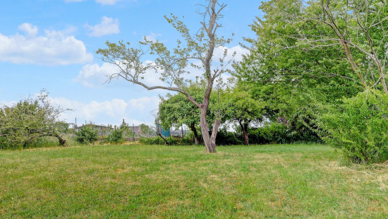 Waaienberg - 5 - - 3080