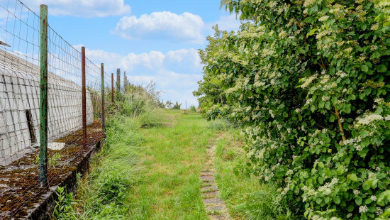 Waaienberg - 5 - - 3080