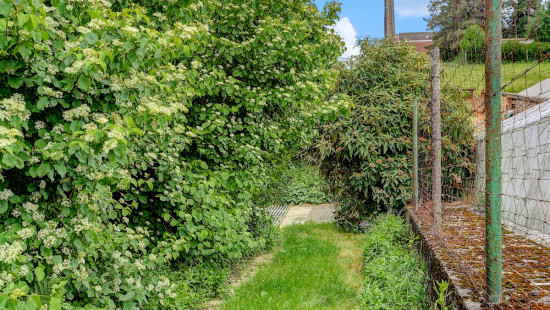 Waaienberg - 5 - - 3080