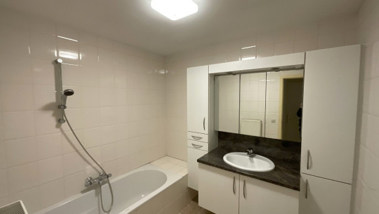 Vinkenslag - 24 - 2 - 2200