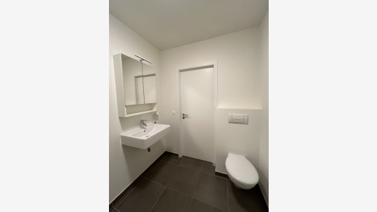 Boelarestraat - 22b - - 8540