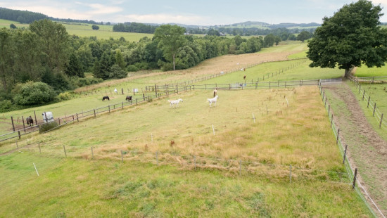 vielsalm - 13 - - 6690