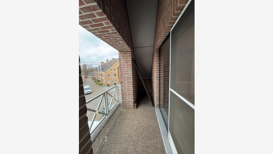 Baksveld - 2 - D - 2260