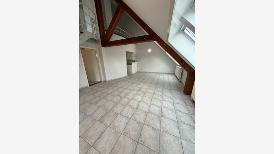 Baksveld - 2 - D - 2260