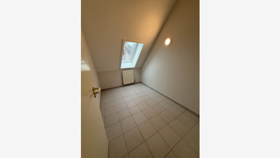 Baksveld - 2 - D - 2260