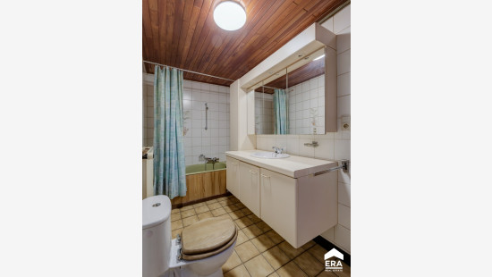 Winterslagstraat - 253 - - 3600