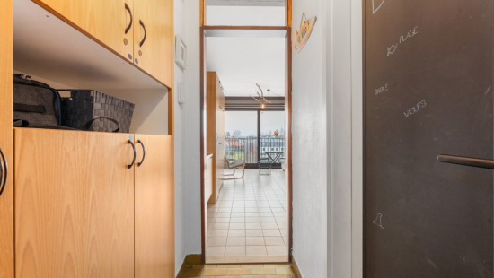 Franslaan - 23 0304 - Zeearend - 8620