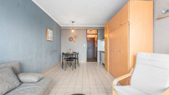 Franslaan - 23 0304 - Zeearend - 8620