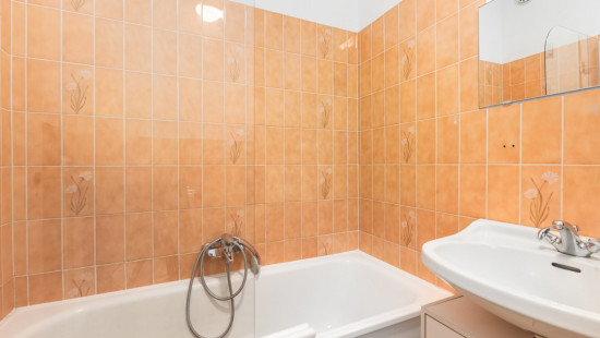 Franslaan - 23 0304 - Zeearend - 8620