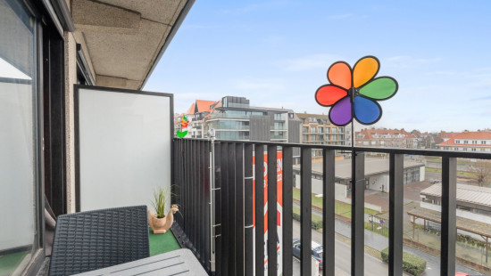 Franslaan - 23 0304 - Zeearend - 8620