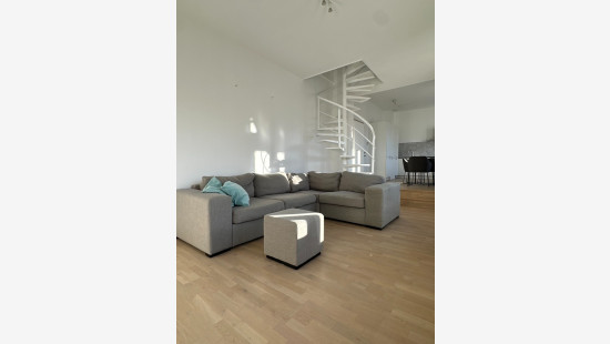 Jozef Liesstraat - 28 - - 2018