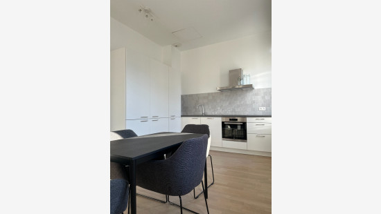 Jozef Liesstraat - 28 - - 2018