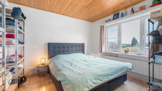 Rinkhout - 98 - - 9240