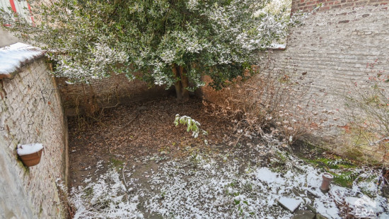 Avenue Emile Max - 18 - - 1030