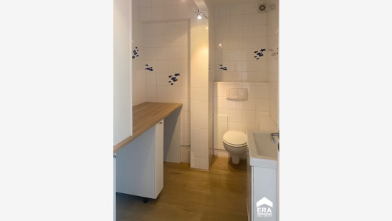 Reinpadstraat - 11 - 8 - 3600