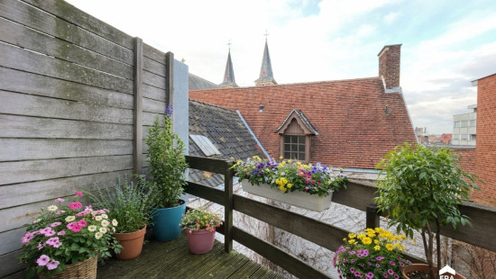 Rijselsestraat - 18 - 31 - 8500