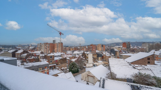 Rue Saint Remacle - 19 - - 4020