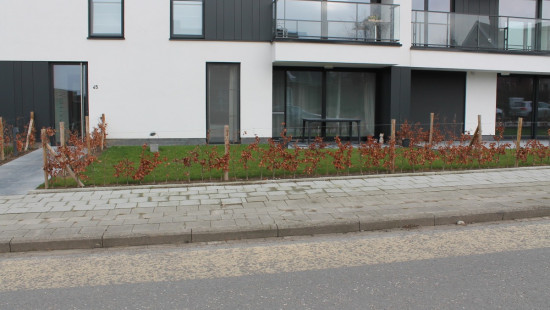 Lichterveldestraat - 45 - 0005 - 8750