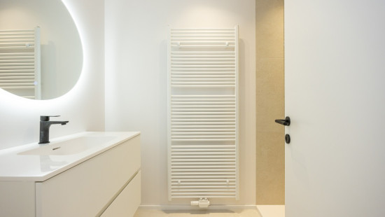 Druivenstraat - 4 - 2 - 2300