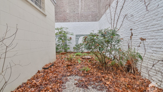 Rue Veydt - 38 - - 1050