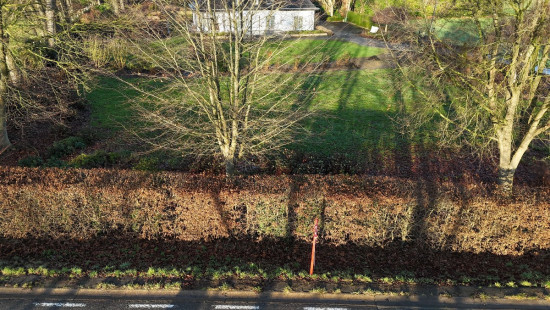 Groot Overlaar - 245 - - 3300