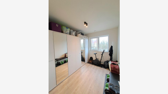 Zuidstraat - 42 - 201 - 8530